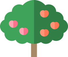 Apple Tree Ink Editable Svg Line Art, Free Vectors File